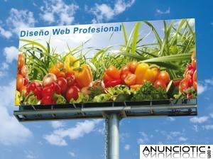 P&Aacute;GINAS WEB PROFESIONALES