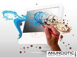 DISE&Ntilde;ADOR WEB PROFESIONAL