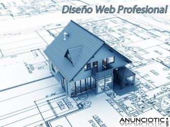 Dise&ntilde;o Profesional Paginas Web
