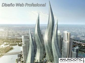 Dise&ntilde;o Profesional Paginas Web