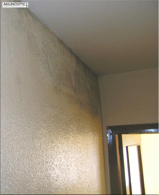 Eliminamos Efcazmente  moho y hongos de paredes, techos,ba&ntilde;o 