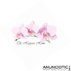 Agencia de selecci&oacute;n servicio dom&eacute;stico The Hapiest Home