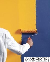 PINTURA+LIMPIEZA A PRECIO ECON&Oacute;MICO (ACABADOS ALTA CALIDAD)