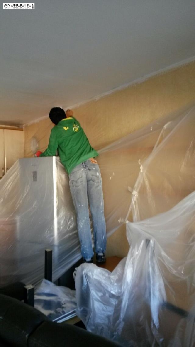 SERVICIOS DE PINTURA Y PEQUE&Ntilde;AS REFORMAS-680246644