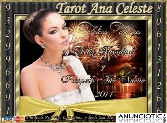 *&iquest;C&oacute;mo te va a ir en el Amor en 2014? Tarot Visa 7� X 15m y 806 a 0,42�/m