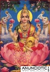 Rosa ★ Videncia ~ Cartomancia