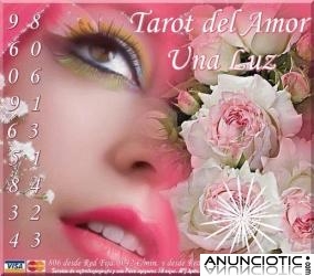 Tarot del Amor Visa  7� X 15m y 806 a 0,42�/m
