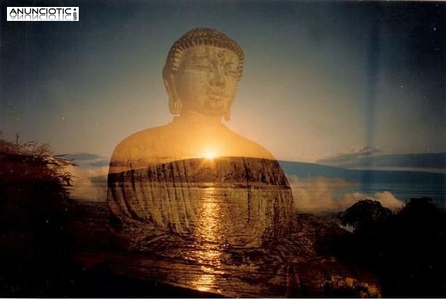 Videncia don nacimiento AMPARO LARA. tarotista espa&ntilde;ola