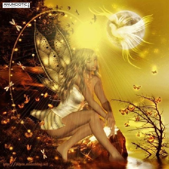 VIDENTE POR TELEFONO 0,42� CENTIMOS MINUTO, ACIERTOS REALES