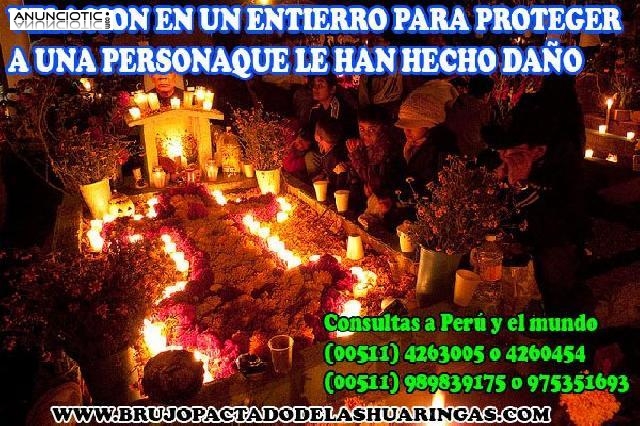 AMARRE PACTADO+FUERTES DEL PER&Uacute; Y EL MUNDO-DON LINO &Uacute;NICO EN EL UNIVERSO
