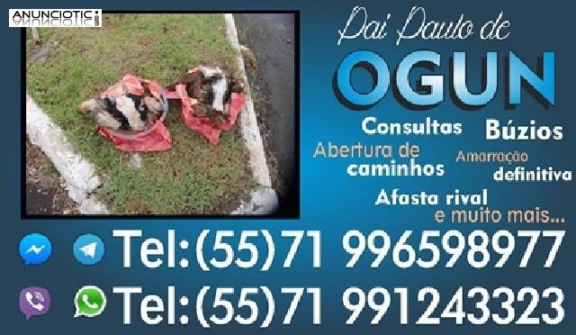 Amarra&ccedil;&atilde;o amorosa Pai de Santo Salvador Bahia vidente consultas