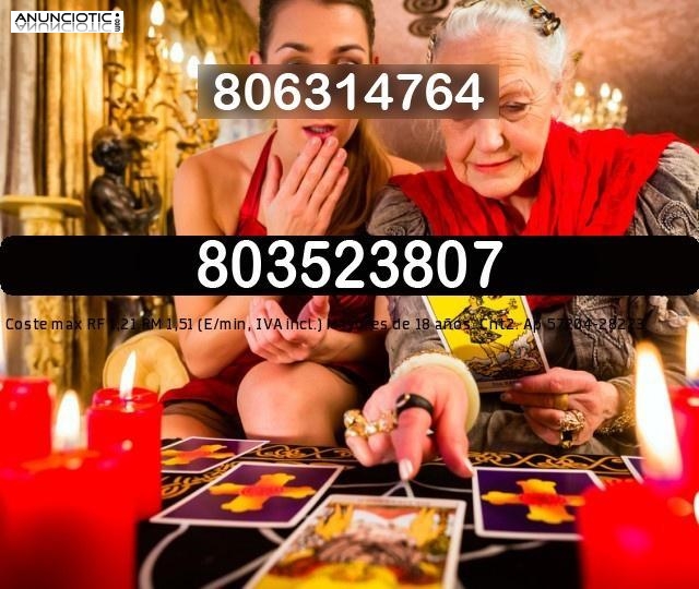 Rapid&iacute;sima calidad 