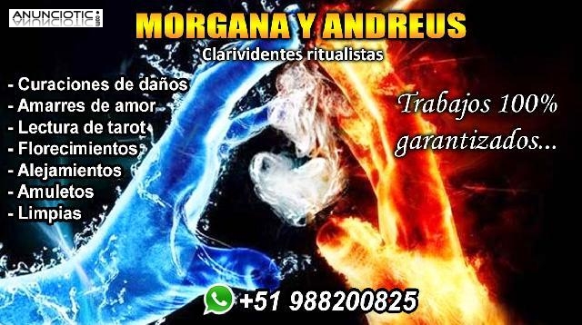 La soluci&oacute;n que tanto buscabas