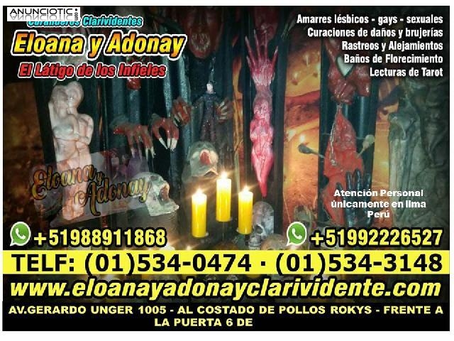 BRUJA ELOANA: LIMPIAR UN NEGOCIO DE ENERG&Iacute;AS NEGATIVAS 