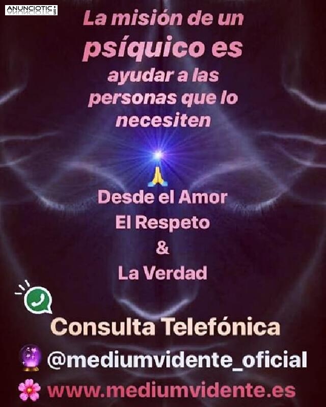 Consulta Telef&oacute;nica Particular