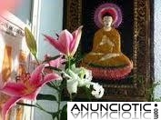 Una vidente espa&ntilde;ola con esperiencia desde hace 37 a&ntilde;os.