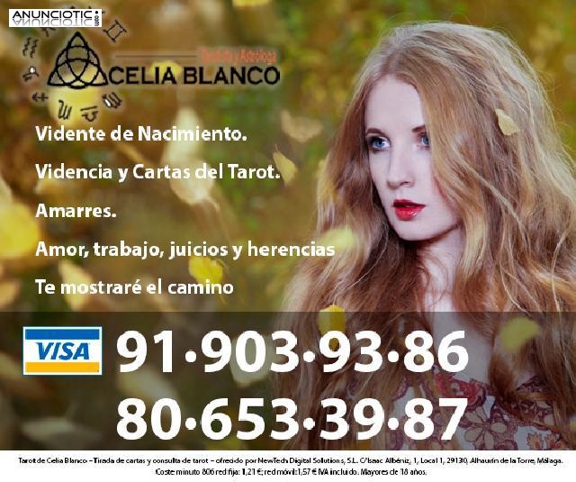 VIDENTE TAROTISTA VISA ECON&Oacute;MICA