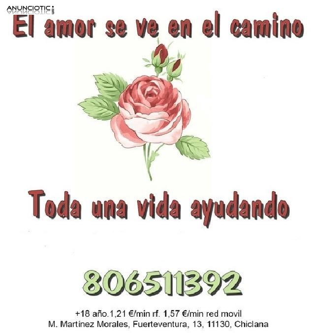 Tarot Del Amor (Romances En El Alma)