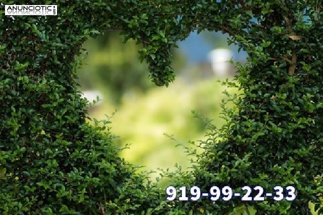 _: Te mostramos el camino a la felicidad 15 min 6 eur