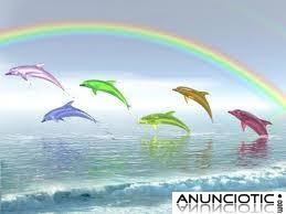 &iquest;Eres feliz? Mi videncia te dir&aacute; como lograrlo