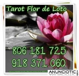 TAROT ECONOMICO FLOR DE LOTO SOLO 0,42 CM MIN. VISA 5 � 10 MTOS.