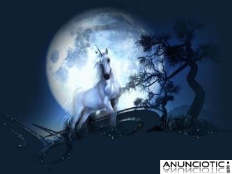 HELENA CASTRO LA MEJOR VIDENTE DEL MUNDO, VISAS DESDE 1� 