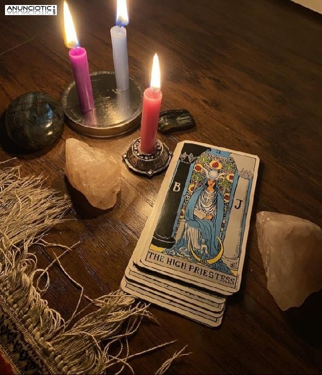 Gala Vidente predicciones certeras