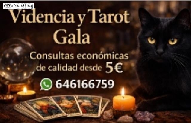 Gala Vidente predicciones certeras