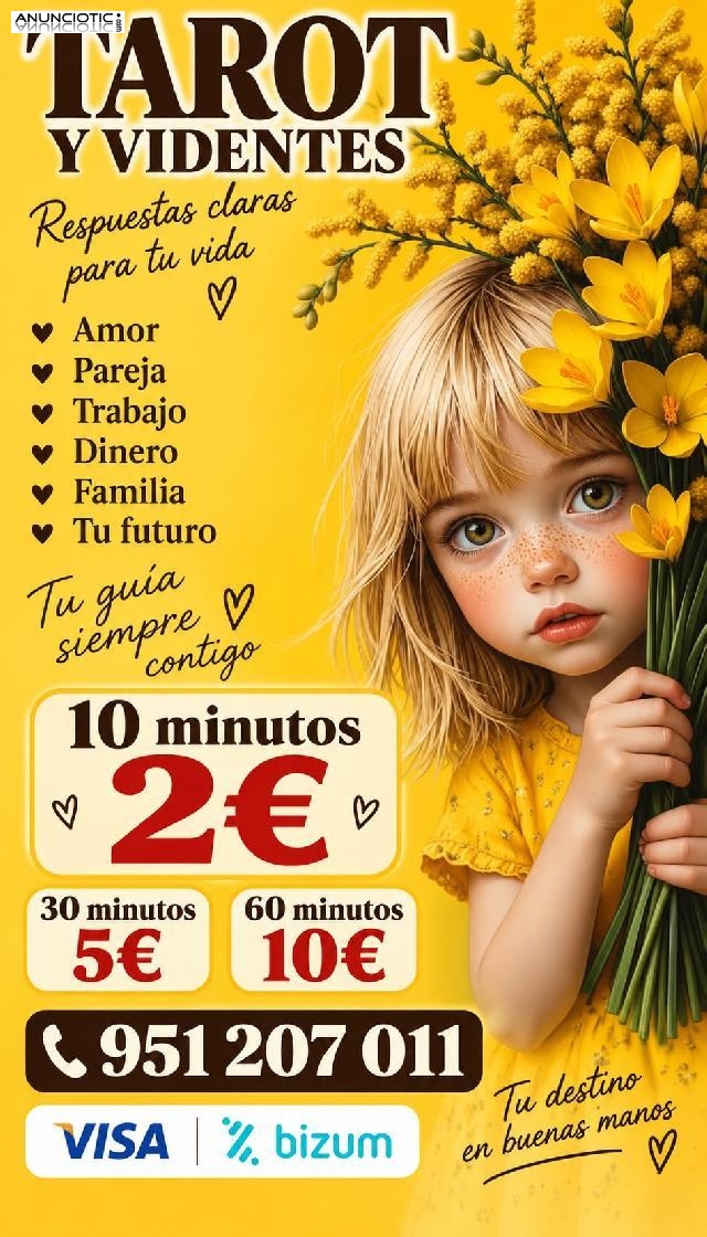 CONSULTA VIDENTES DIRECTA 