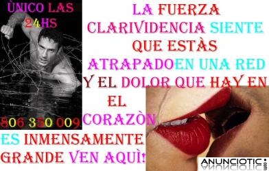 LA FUERZA CLARIVIDENCIA ES LA &Ugrave;NICA EN TODA ESPA&Ntilde;A MAS CONSULTADA VISITADA EN EL AMOR 24 H