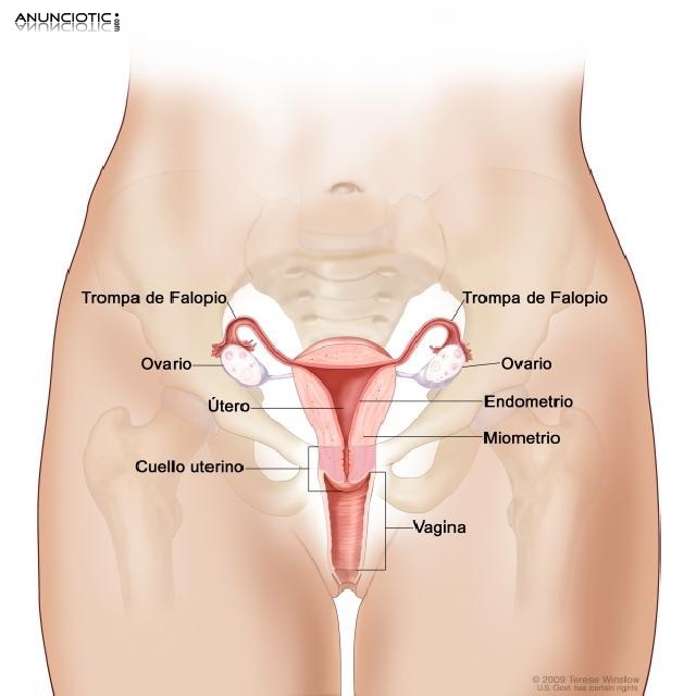 Sanaci&oacute;n de masoterapia profunda para mujeres
