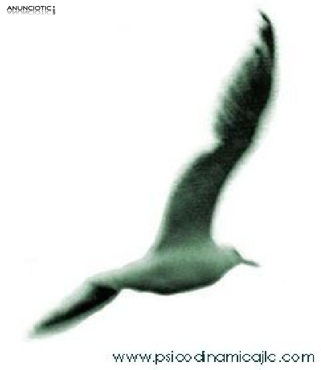 Jos&eacute; Luis Cano Gil. Psicoterapeuta y Escritor