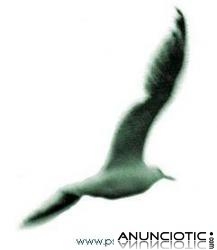 Psicoterapia - An&aacute;lisis Psicodin&aacute;mico - Crecimiento Personal