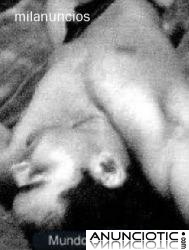 MASAJES PARA HOMBRES CON MORENAZO ESPA&Ntilde;OL