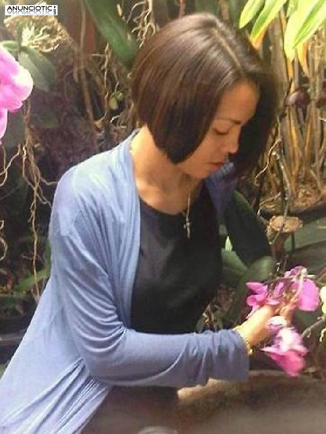 Masaje thai terap&eacute;utico