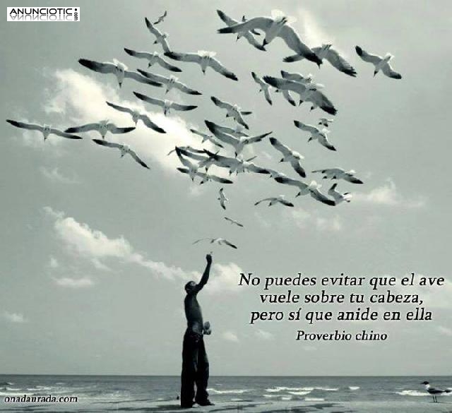 PSIC&Oacute;LOGA ONLINE