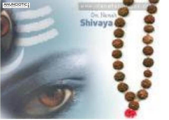 TALLERES DE MASAJES T&Aacute;NTRICOS EN ASHRAM TANTRIC SHIVA INDIA BARCELONA