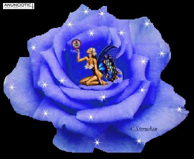               EMPRESA DE LINEAS HOT   busca chicas liberales de toda Espa&ntilde;a