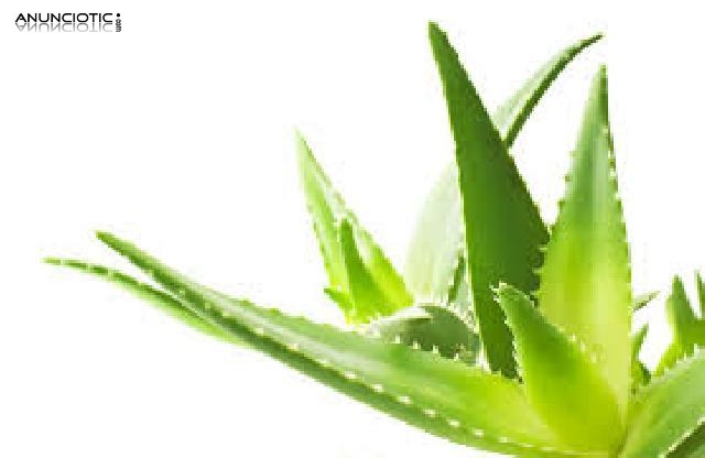 &iquest;Quieres ganar un dinero extra?