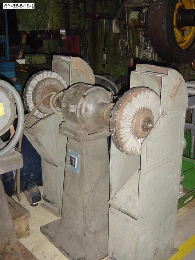 Pulidora de discos trif&aacute;sica