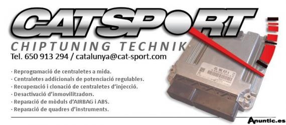 Reptrogramaci&oacute; Centraletes motor