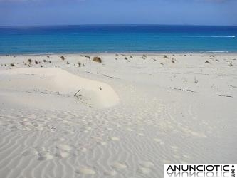 Se alquilan apartamentos en la playa; ubicados en la costa occidental de l Cerde&ntilde;a