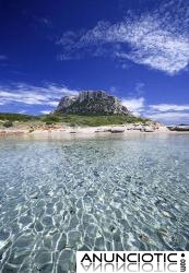Se alquilan apartamentos en la playa; ubicados en la costa occidental de l Cerde&ntilde;a
