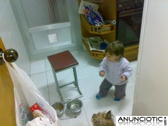 Alquilo habitaci&oacute;n para compartir mi piso