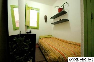 ***alquilamos habitaci&oacute;n individual libre ya en piso de 74mq***