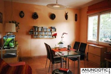 ***alquilamos habitaci&oacute;n individual libre ya en piso de 74mq***