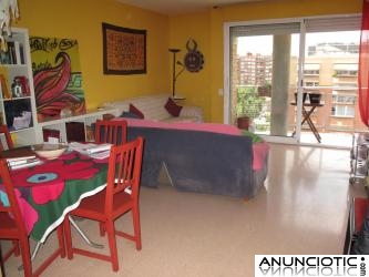 se alquila habitaci&oacute;n / rent a room