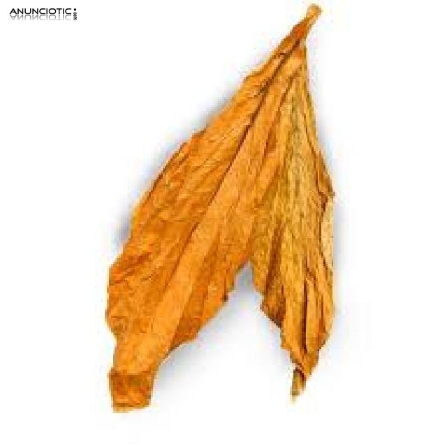 Productores Hoja natural tabaco Virginia. lemon/Rubio/Negro. 633438735