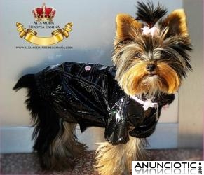 Chubasqueros para Perros Peque&Atilde;&plusmn;os