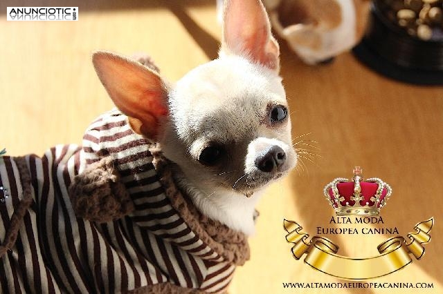 Vestir Perros Peque&ntilde;os